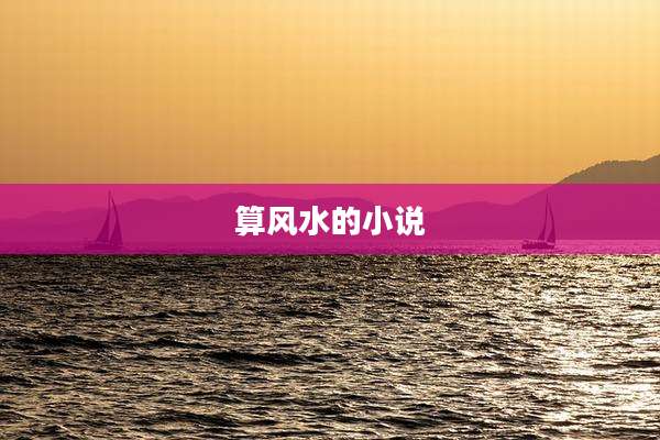 算风水的小说
