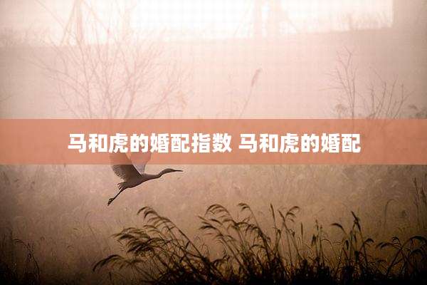 马和虎的婚配指数 马和虎的婚配