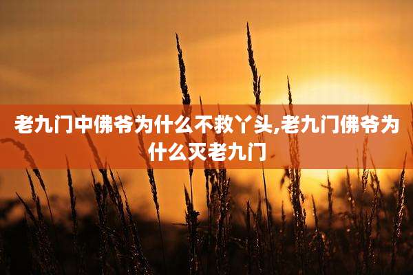 老九门中佛爷为什么不救丫头,老九门佛爷为什么灭老九门
