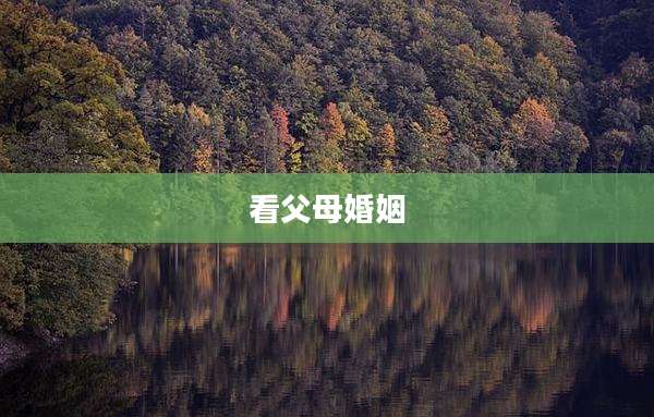 看父母婚姻