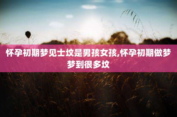 怀孕初期梦见士坟是男孩女孩,怀孕初期做梦梦到很多坟