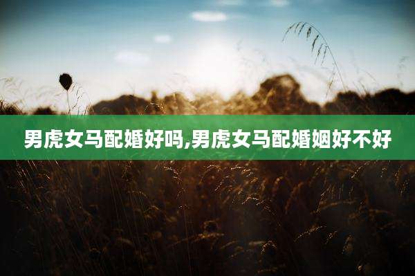 男虎女马配婚好吗,男虎女马配婚姻好不好