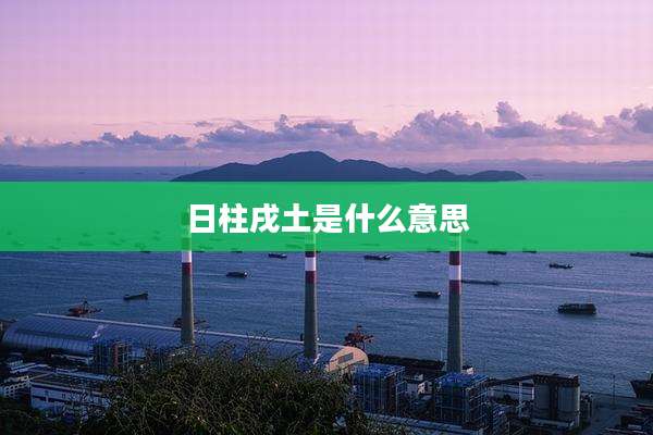 日柱戌土是什么意思