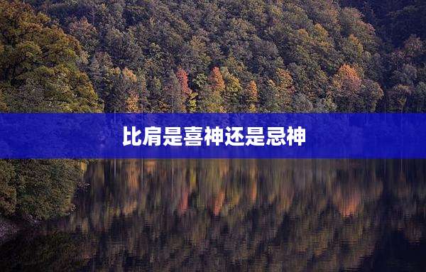 比肩是喜神还是忌神