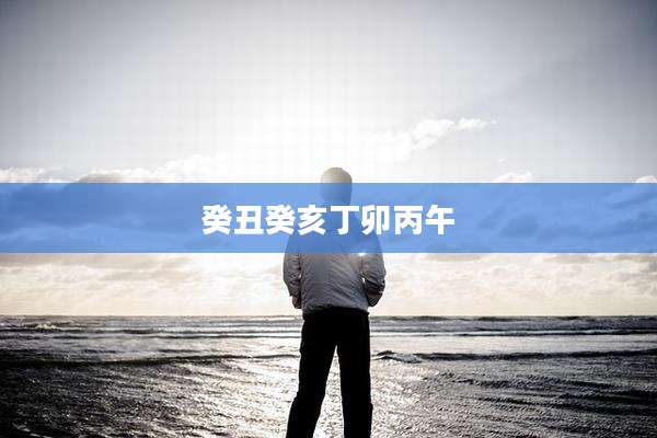 癸丑癸亥丁卯丙午
