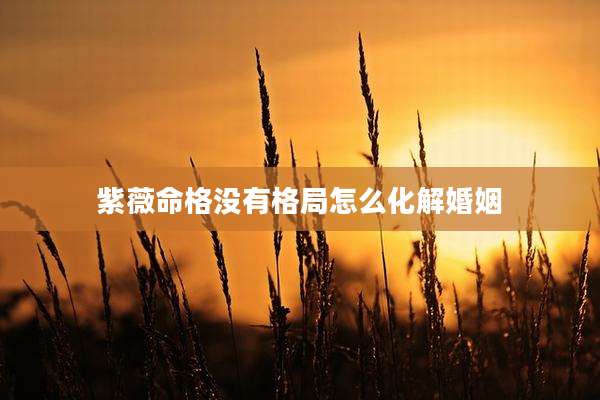紫薇命格没有格局怎么化解婚姻