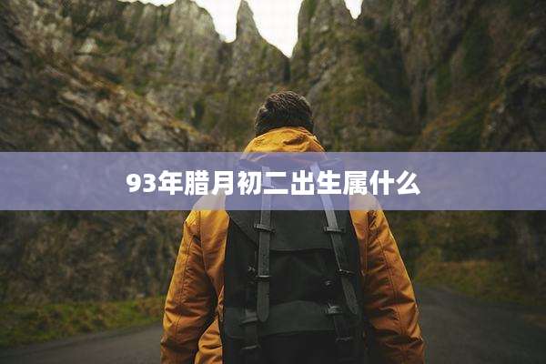 93年腊月初二出生属什么