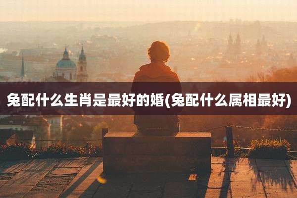兔配什么生肖是最好的婚(兔配什么属相最好)