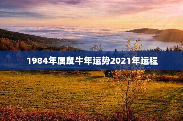 1984年属鼠牛年运势2021年运程