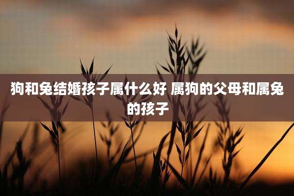 狗和兔结婚孩子属什么好 属狗的父母和属兔的孩子