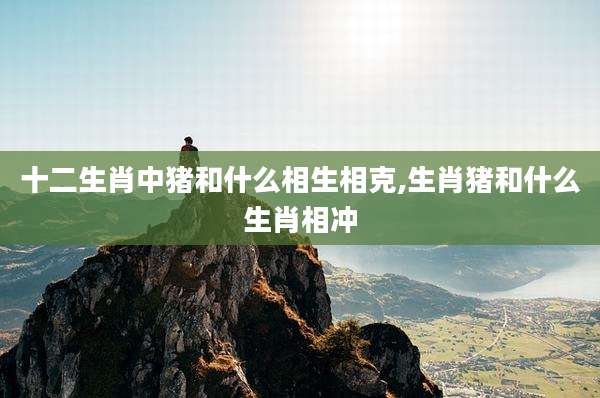 十二生肖中猪和什么相生相克,生肖猪和什么生肖相冲