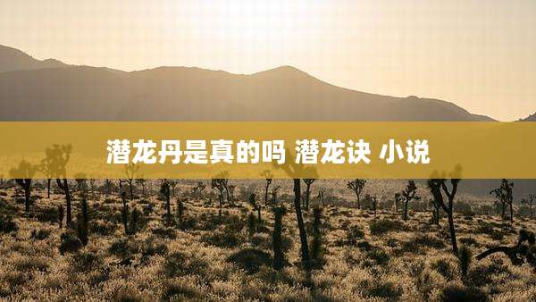 潜龙丹是真的吗 潜龙诀 小说