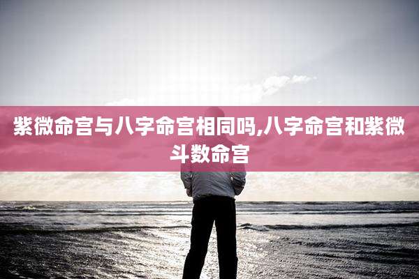 紫微命宫与八字命宫相同吗,八字命宫和紫微斗数命宫