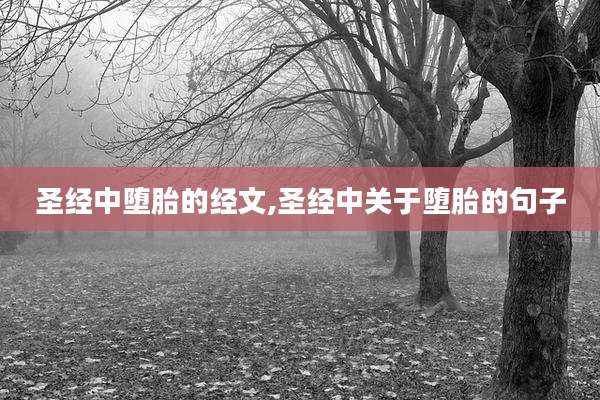 圣经中堕胎的经文,圣经中关于堕胎的句子