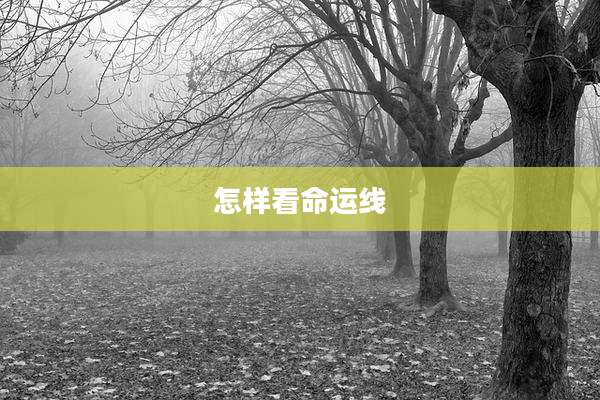 怎样看命运线