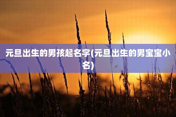 元旦出生的男孩起名字(元旦出生的男宝宝小名)
