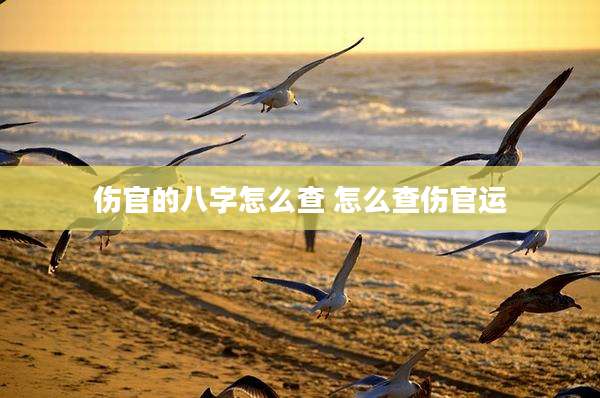 伤官的八字怎么查 怎么查伤官运