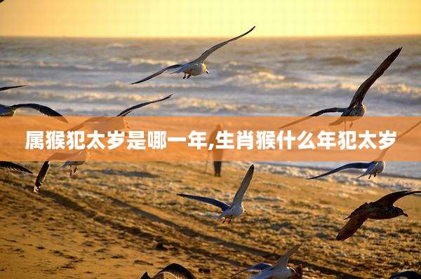 属猴犯太岁是哪一年,生肖猴什么年犯太岁