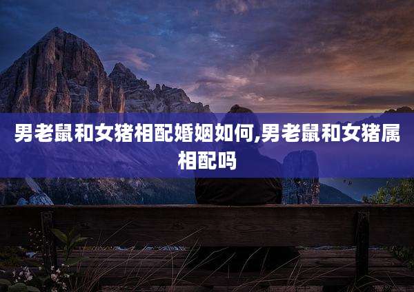男老鼠和女猪相配婚姻如何,男老鼠和女猪属相配吗