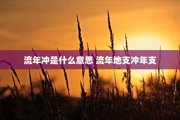流年冲是什么意思 流年地支冲年支