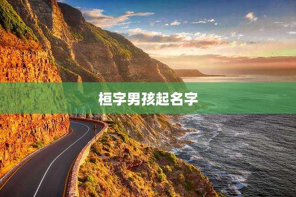 桓字男孩起名字