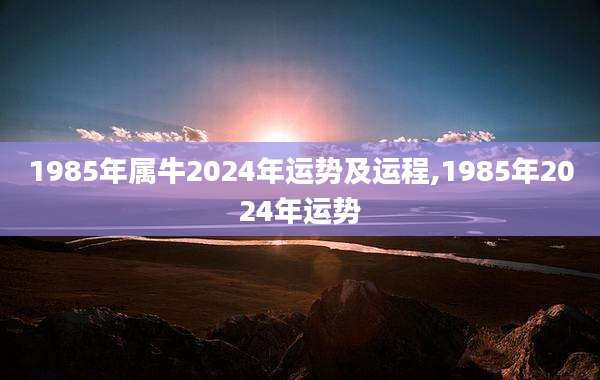 1985年属牛2024年运势及运程,1985年2024年运势