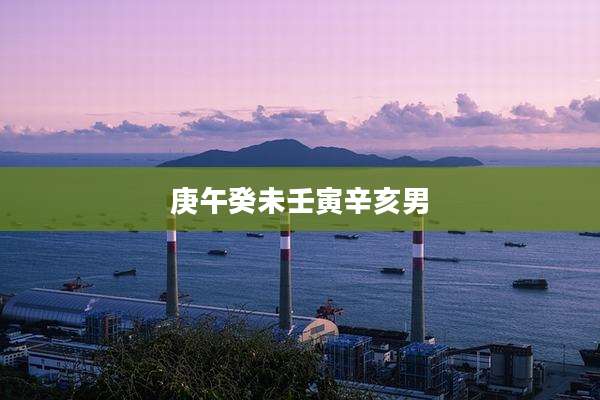 庚午癸未壬寅辛亥男