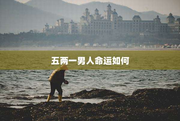 五两一男人命运如何