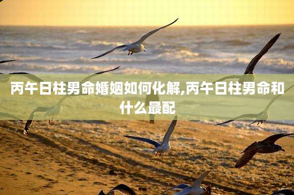 丙午日柱男命婚姻如何化解,丙午日柱男命和什么最配
