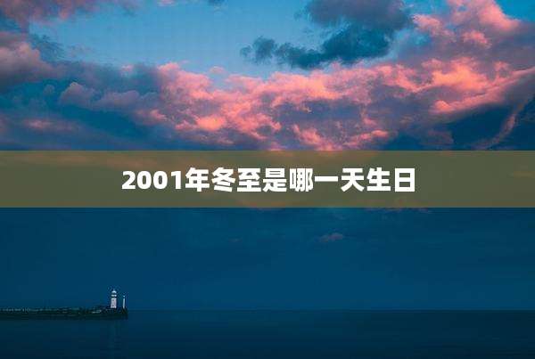 2001年冬至是哪一天生日