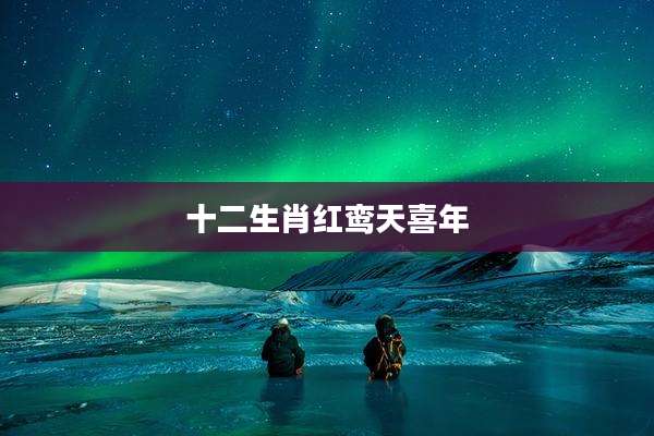 十二生肖红鸾天喜年