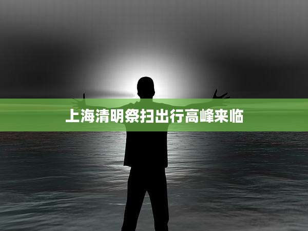 上海清明祭扫出行高峰来临