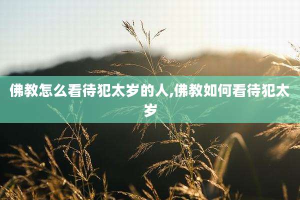 佛教怎么看待犯太岁的人,佛教如何看待犯太岁