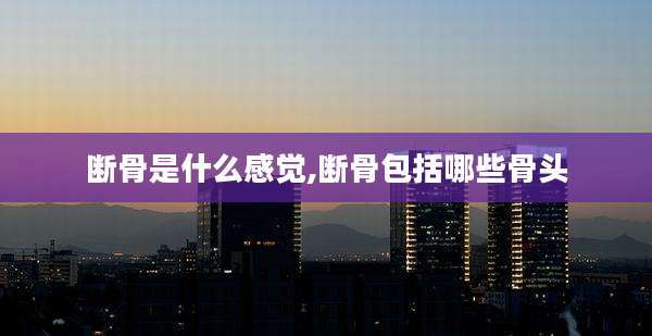 断骨是什么感觉,断骨包括哪些骨头