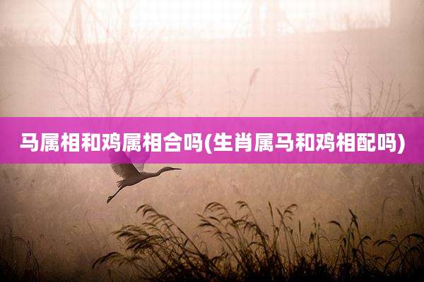 马属相和鸡属相合吗(生肖属马和鸡相配吗)