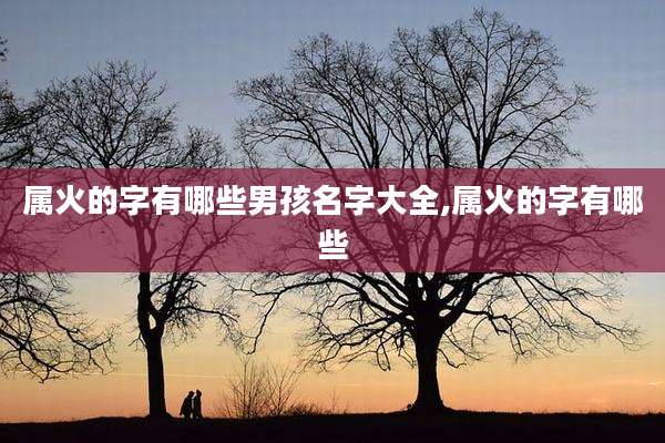 属火的字有哪些男孩名字大全,属火的字有哪些