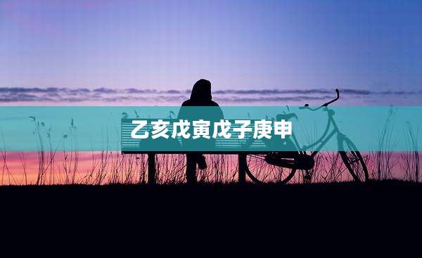 乙亥戊寅戊子庚申