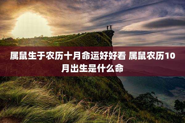 属鼠生于农历十月命运好好看 属鼠农历10月出生是什么命