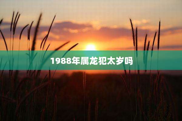 1988年属龙犯太岁吗