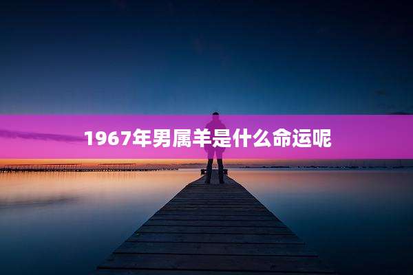 1967年男属羊是什么命运呢