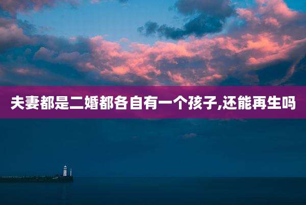 夫妻都是二婚都各自有一个孩子,还能再生吗