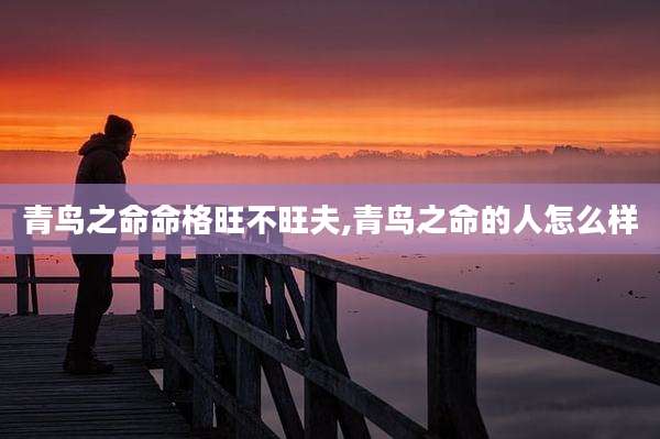 青鸟之命命格旺不旺夫,青鸟之命的人怎么样