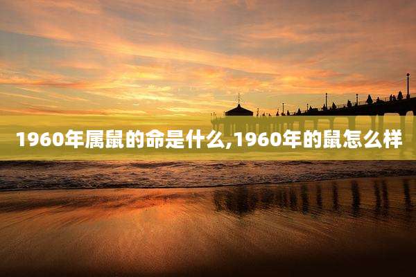 1960年属鼠的命是什么,1960年的鼠怎么样