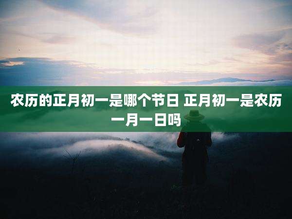 农历的正月初一是哪个节日 正月初一是农历一月一日吗