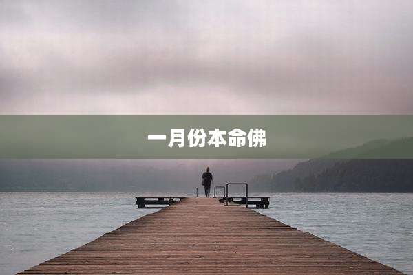 一月份本命佛
