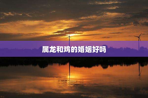 属龙和鸡的婚姻好吗