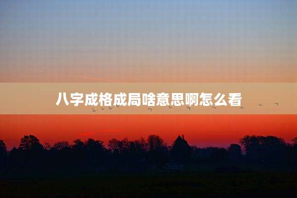 八字成格成局啥意思啊怎么看