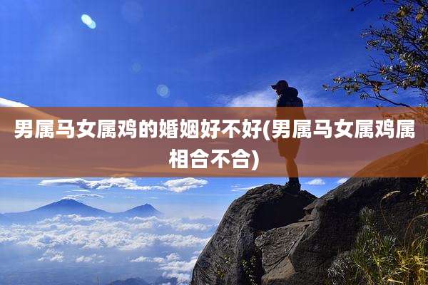 男属马女属鸡的婚姻好不好(男属马女属鸡属相合不合)