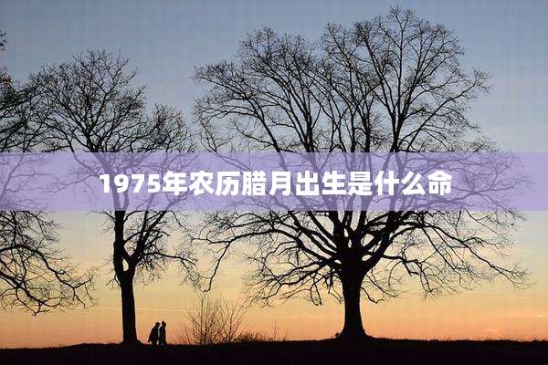 1975年农历腊月出生是什么命