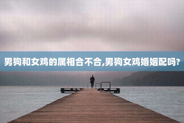 男狗和女鸡的属相合不合,男狗女鸡婚姻配吗?